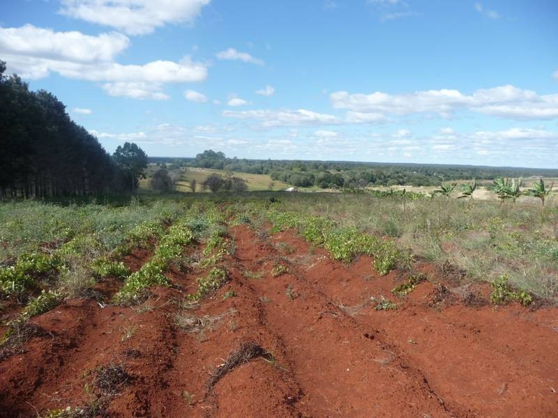 Lot A,  South Isis Road, South Isis, South Isis QLD 4660