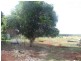Lot A,  South Isis Road, South Isis, South Isis QLD 4660