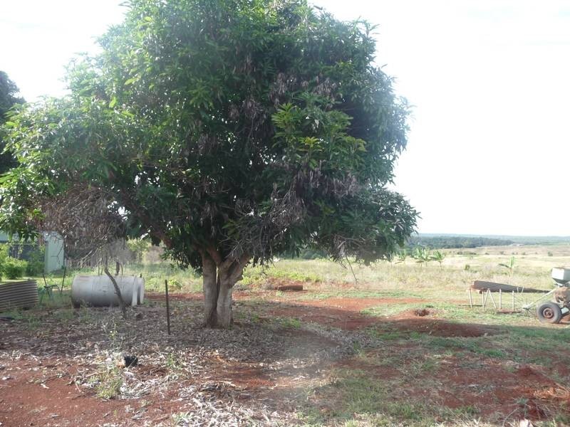 Lot A,  South Isis Road, South Isis, South Isis QLD 4660