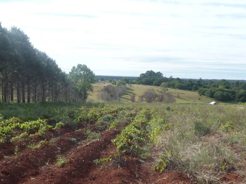 Lot A,  South Isis Road, South Isis, South Isis QLD 4660