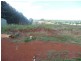Lot A,  South Isis Road, South Isis, South Isis QLD 4660