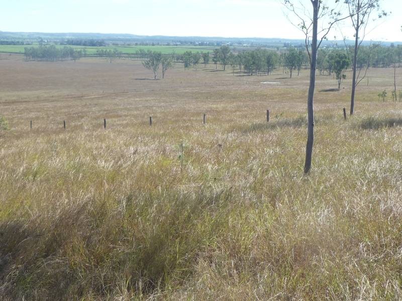 Lot 1, MCLENNANS DRIVE, DUINGAL, Wallaville QLD 4671