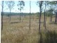 Lot 1, MCLENNANS DRIVE, DUINGAL, Wallaville QLD 4671