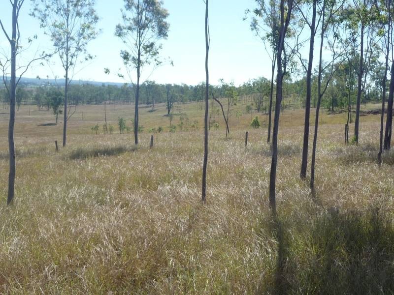 Lot 1, MCLENNANS DRIVE, DUINGAL, Wallaville QLD 4671