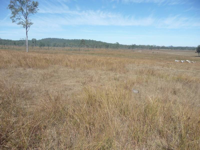 Lot 5, 128 McLennans Drive, DUINGAL, Wallaville QLD 4671