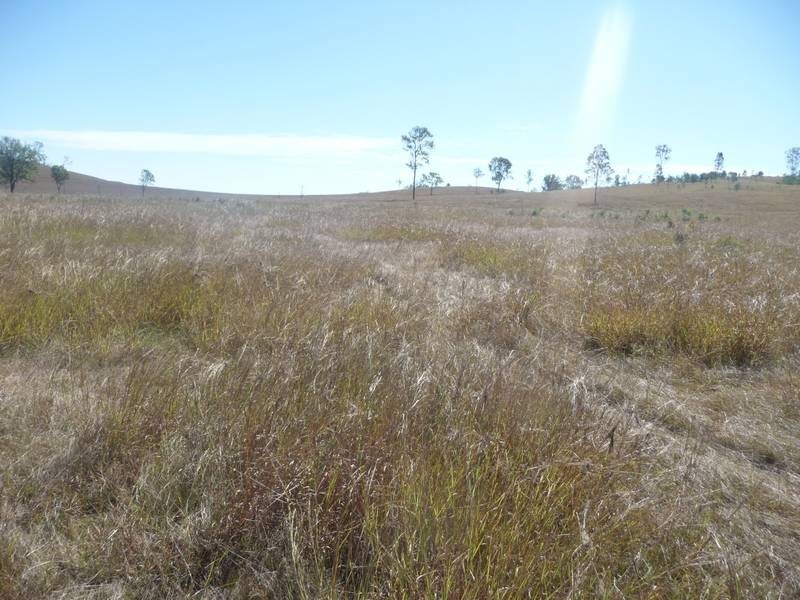 Lot 5, 128 McLennans Drive, DUINGAL, Wallaville QLD 4671