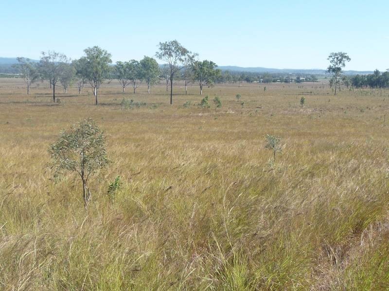Lot 5, 128 McLennans Drive, DUINGAL, Wallaville QLD 4671