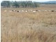 Lot 5, 128 McLennans Drive, DUINGAL, Wallaville QLD 4671