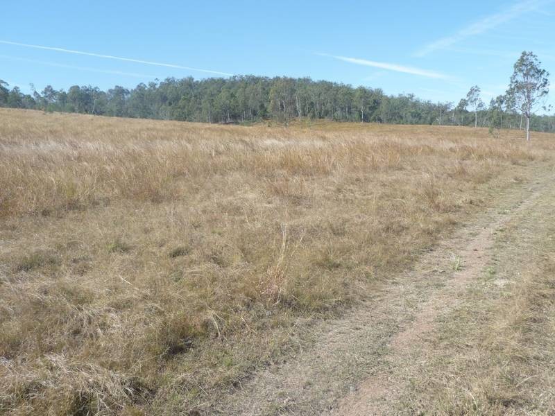 Lot 5, 128 McLennans Drive, DUINGAL, Wallaville QLD 4671