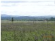 Lot 6, 128 McLennans Drive, DUINGAL, Wallaville QLD 4671