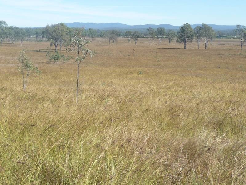 Lot 6, 128 McLennans Drive, DUINGAL, Wallaville QLD 4671
