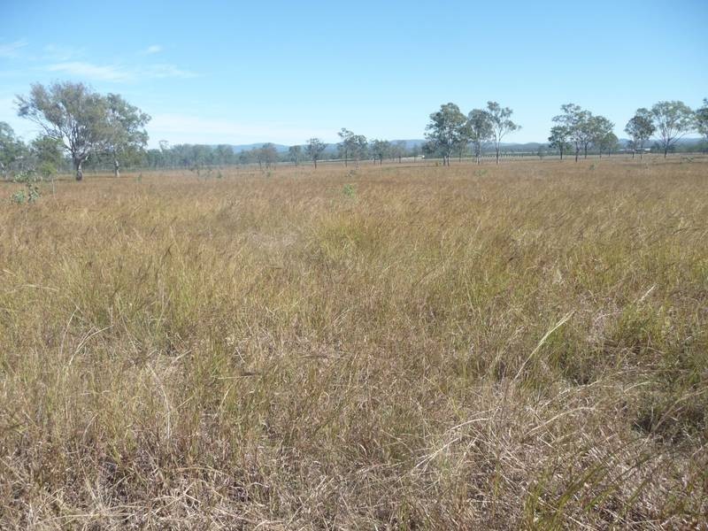 Lot 6, 128 McLennans Drive, DUINGAL, Wallaville QLD 4671