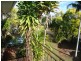 13 Lord Street, Childers QLD 4660