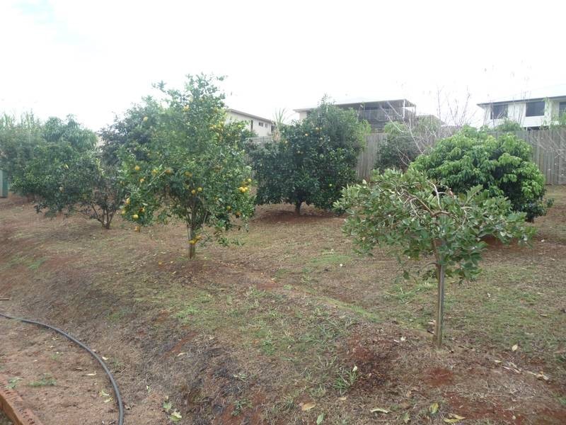 67 Thompson Road, Childers QLD 4660