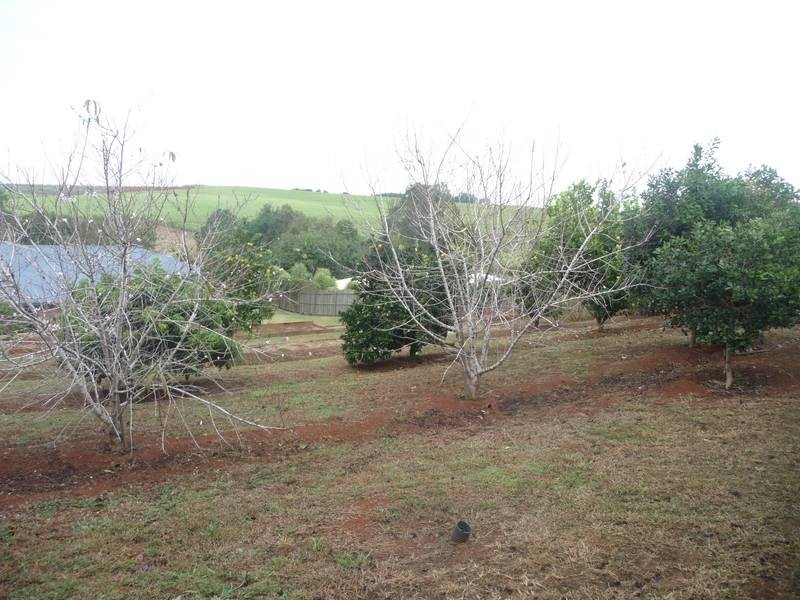 67 Thompson Road, Childers QLD 4660