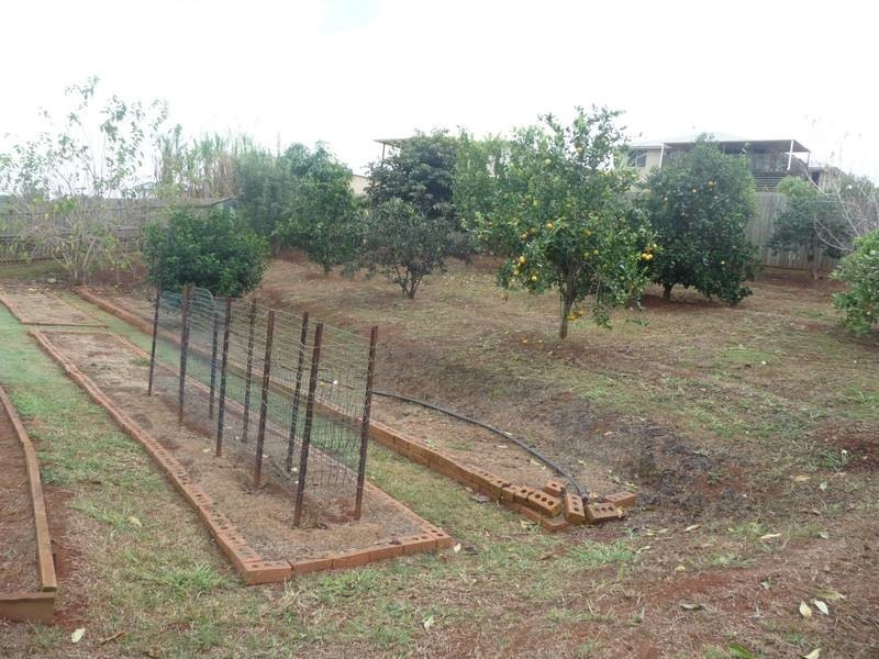 67 Thompson Road, Childers QLD 4660