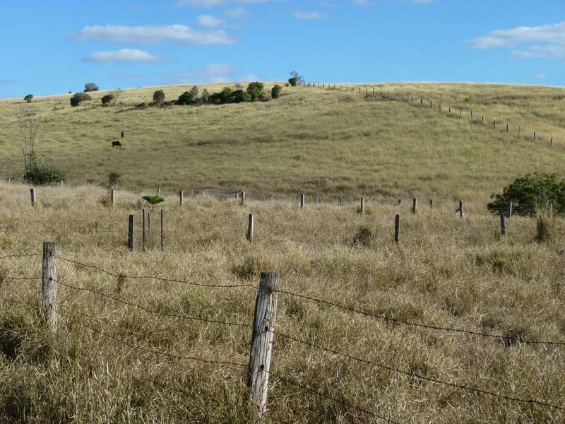 Stevens Road, Dallarnil QLD 4621