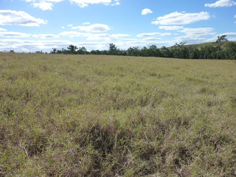 Stevens Road, Dallarnil QLD 4621
