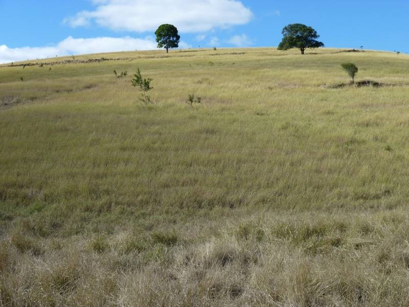 Stevens Road, Dallarnil QLD 4621