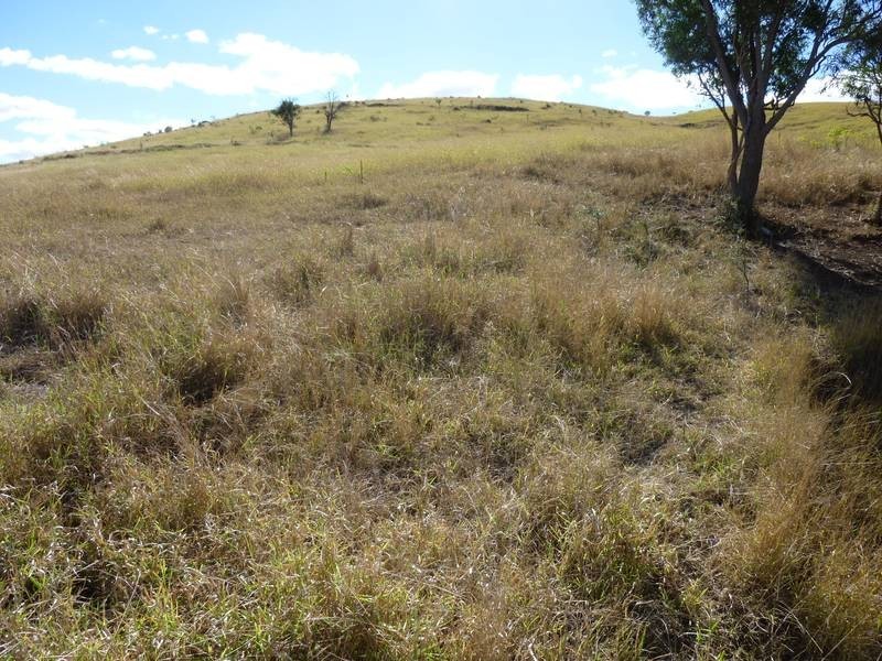 Stevens Road, Dallarnil QLD 4621