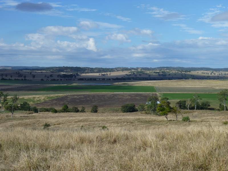 279 Kollings Road, Tansey QLD 4601