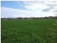 279 Kollings Road, Tansey QLD 4601
