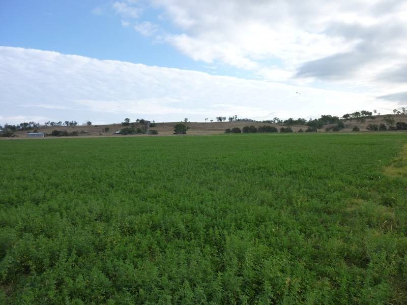 279 Kollings Road, Tansey QLD 4601
