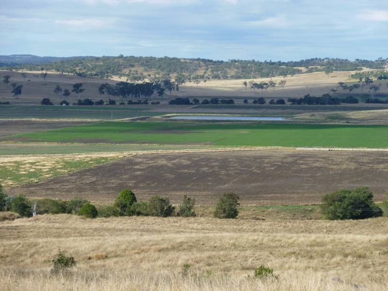 279 Kollings Road, Tansey QLD 4601