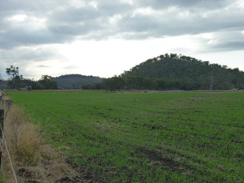 279 Kollings Road, Tansey QLD 4601