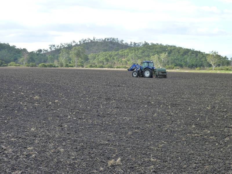 279 Kollings Road, Tansey QLD 4601