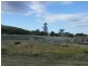 279 Kollings Road, Tansey QLD 4601