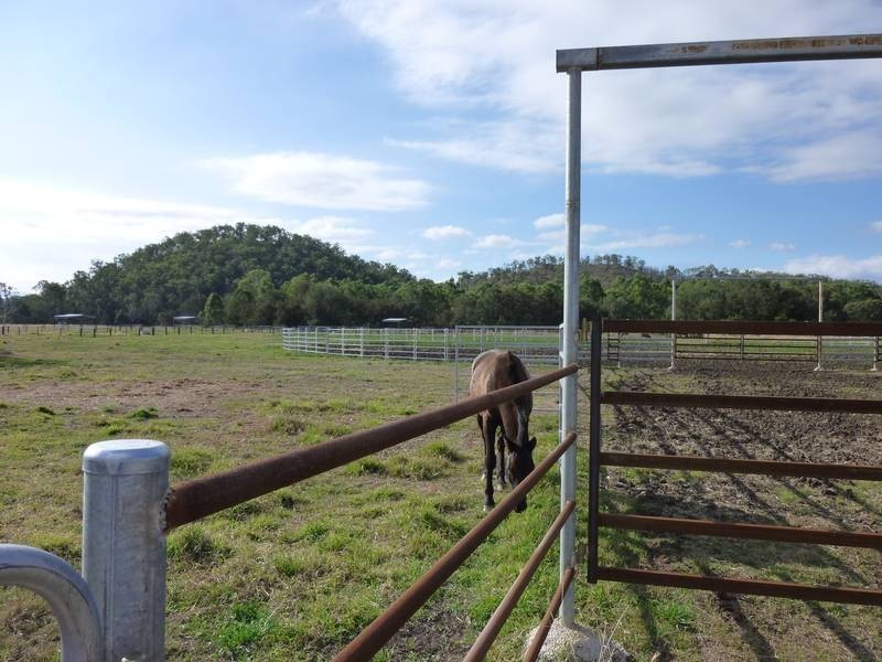 279 Kollings Road, Tansey QLD 4601