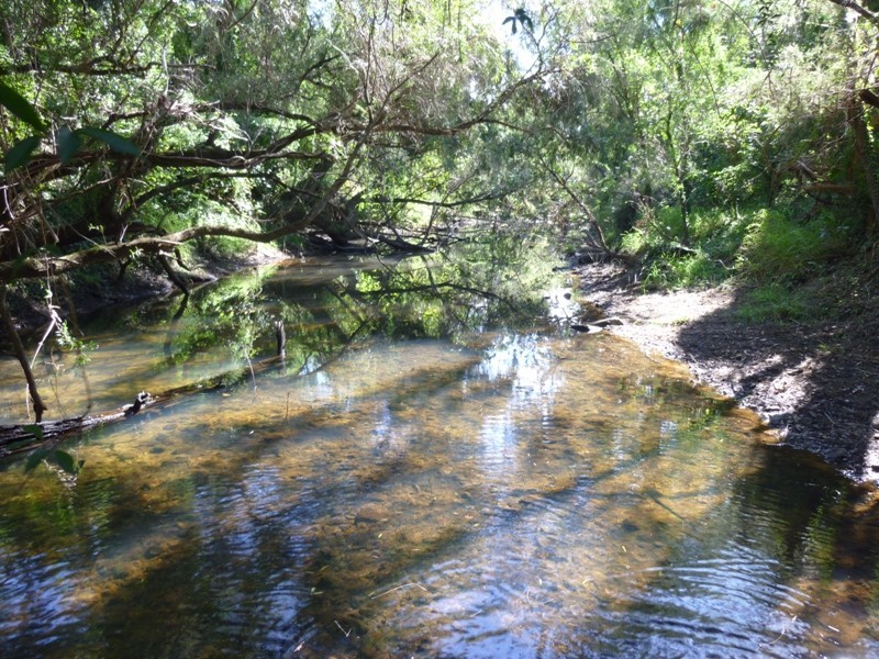 Lot 156,  Grills Road, Dallarnil QLD 4621