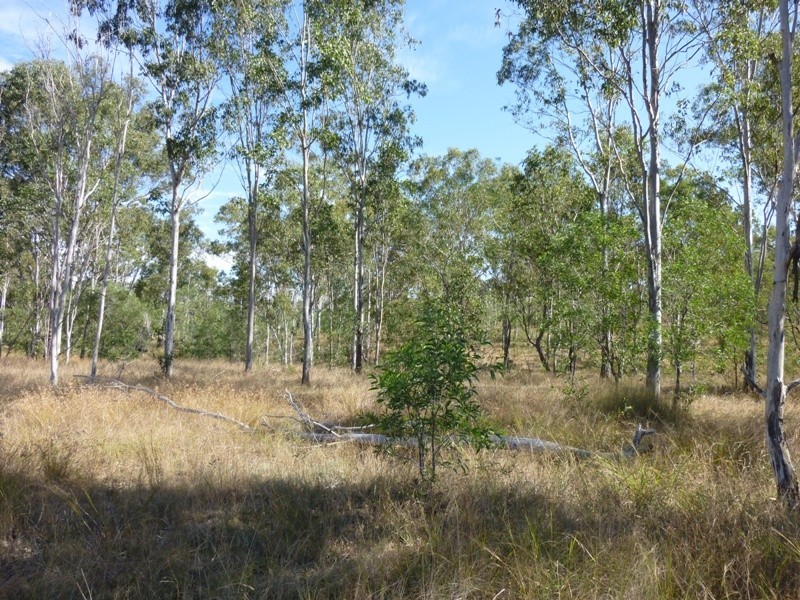 Lot 156,  Grills Road, Dallarnil QLD 4621