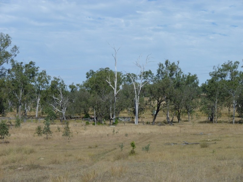 Lot 156,  Grills Road, Dallarnil QLD 4621