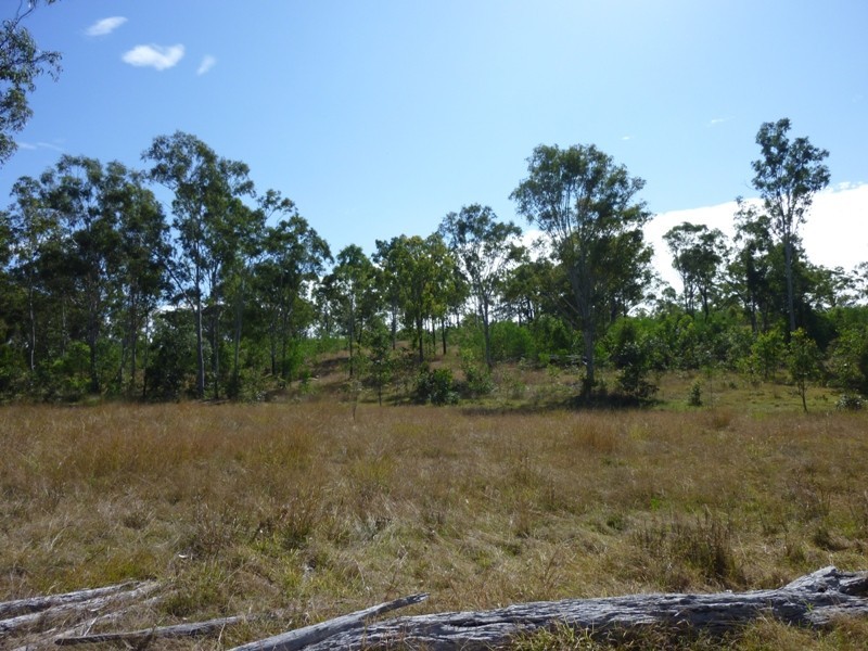 Lot 156,  Grills Road, Dallarnil QLD 4621