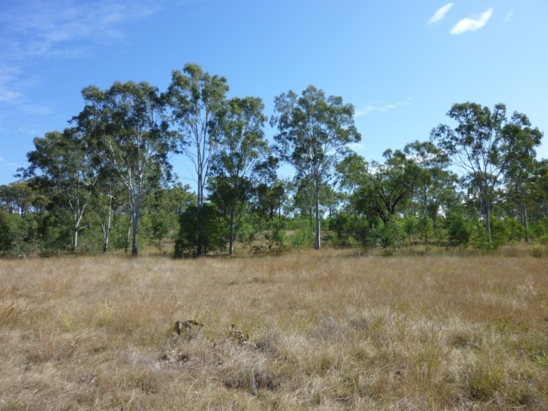 Lot 156,  Grills Road, Dallarnil QLD 4621