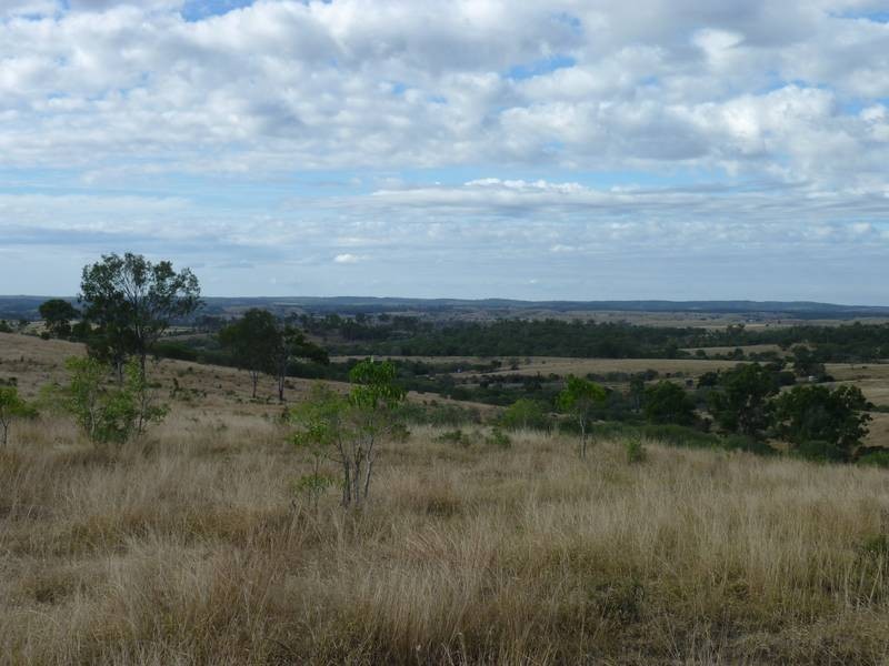 167 Coringa Hills Road, Coringa QLD 4621