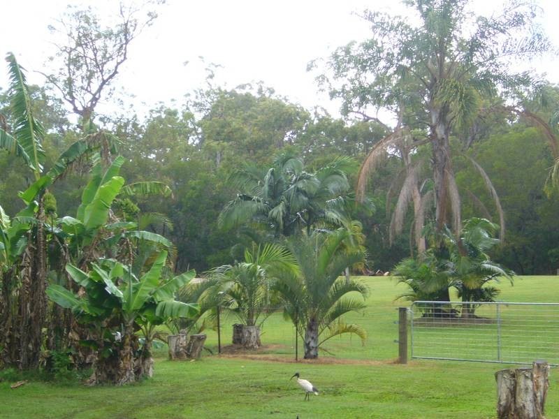 94 Foleys Road, North Isis QLD 4660