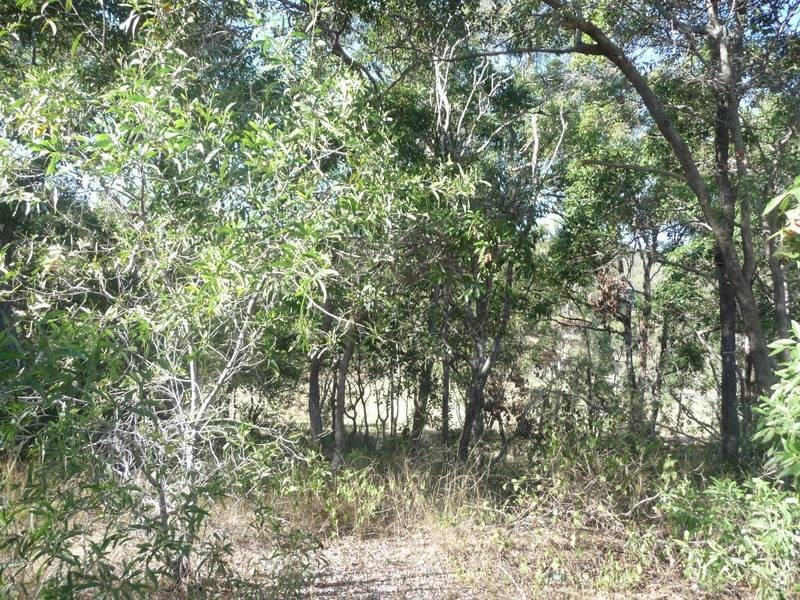 8 SANCTUARY COURT, Apple Tree Creek QLD 4660