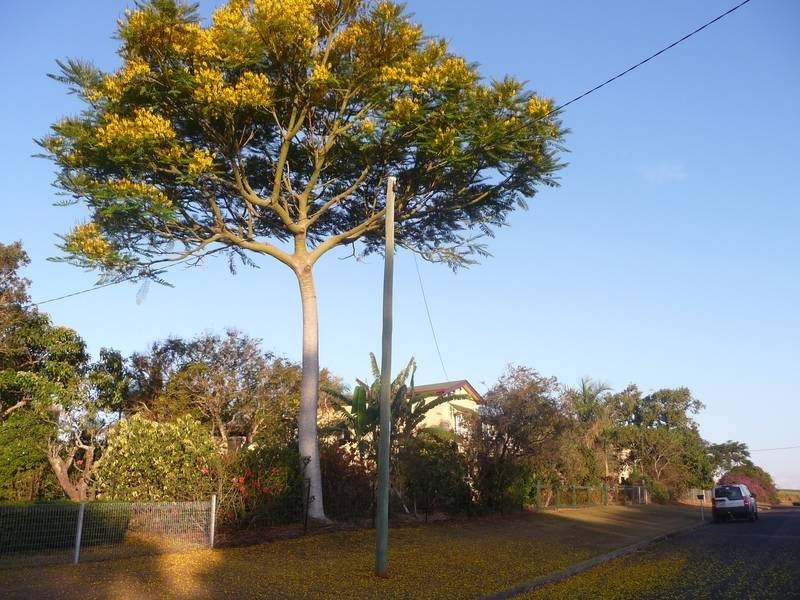 21 Holme Street, Cordalba QLD 4660
