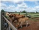 178 Stocks Road, Apple Tree Creek QLD 4660