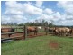178 Stocks Road, Apple Tree Creek QLD 4660