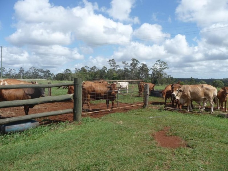 178 Stocks Road, Apple Tree Creek QLD 4660
