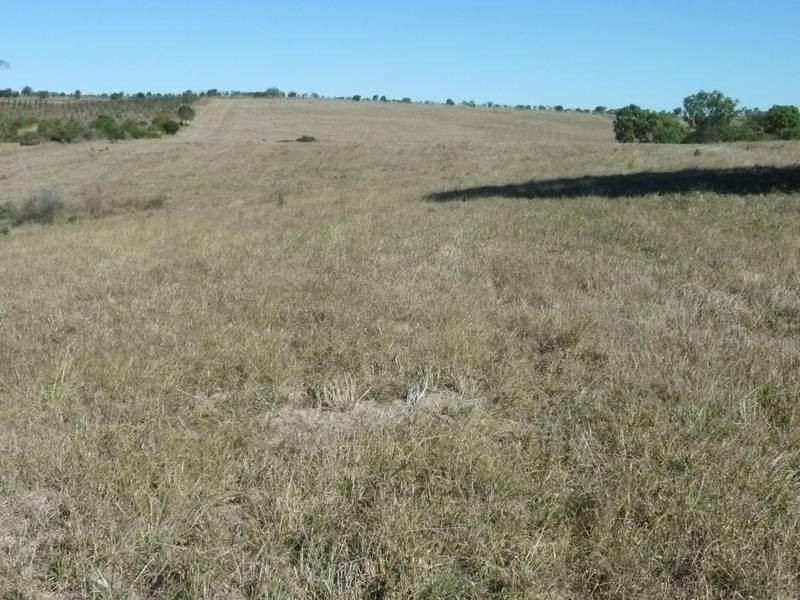 8690 Isis Highway, Dallarnil QLD 4621