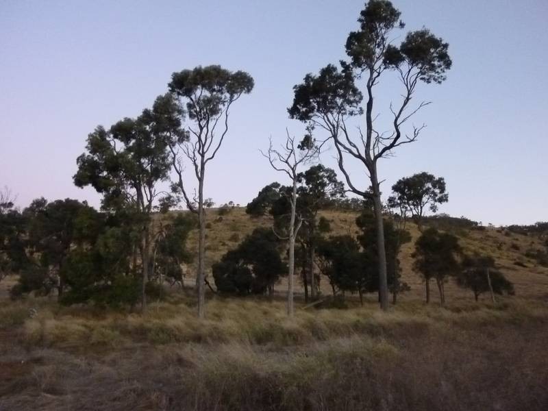 A DOVES ROAD, Coalstoun Lakes QLD 4621