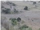 A DOVES ROAD, Coalstoun Lakes QLD 4621