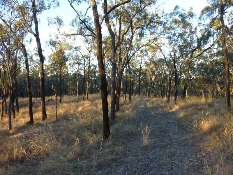 A DOVES ROAD, Coalstoun Lakes QLD 4621