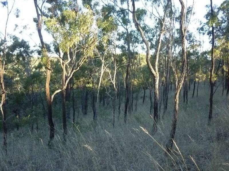 A DOVES ROAD, Coalstoun Lakes QLD 4621