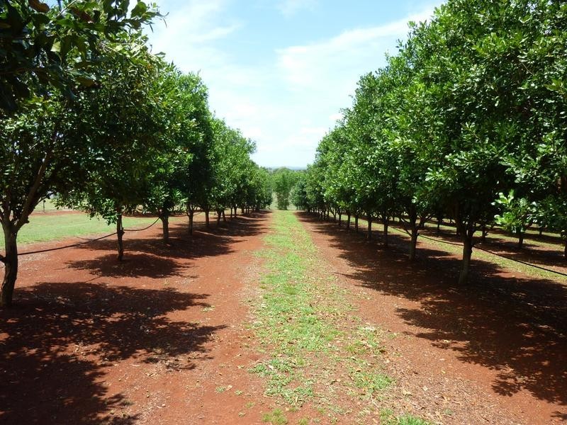 258 ATC HALL ROAD, North Isis QLD 4660